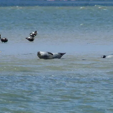 Wattwurm 펜션 돌눔